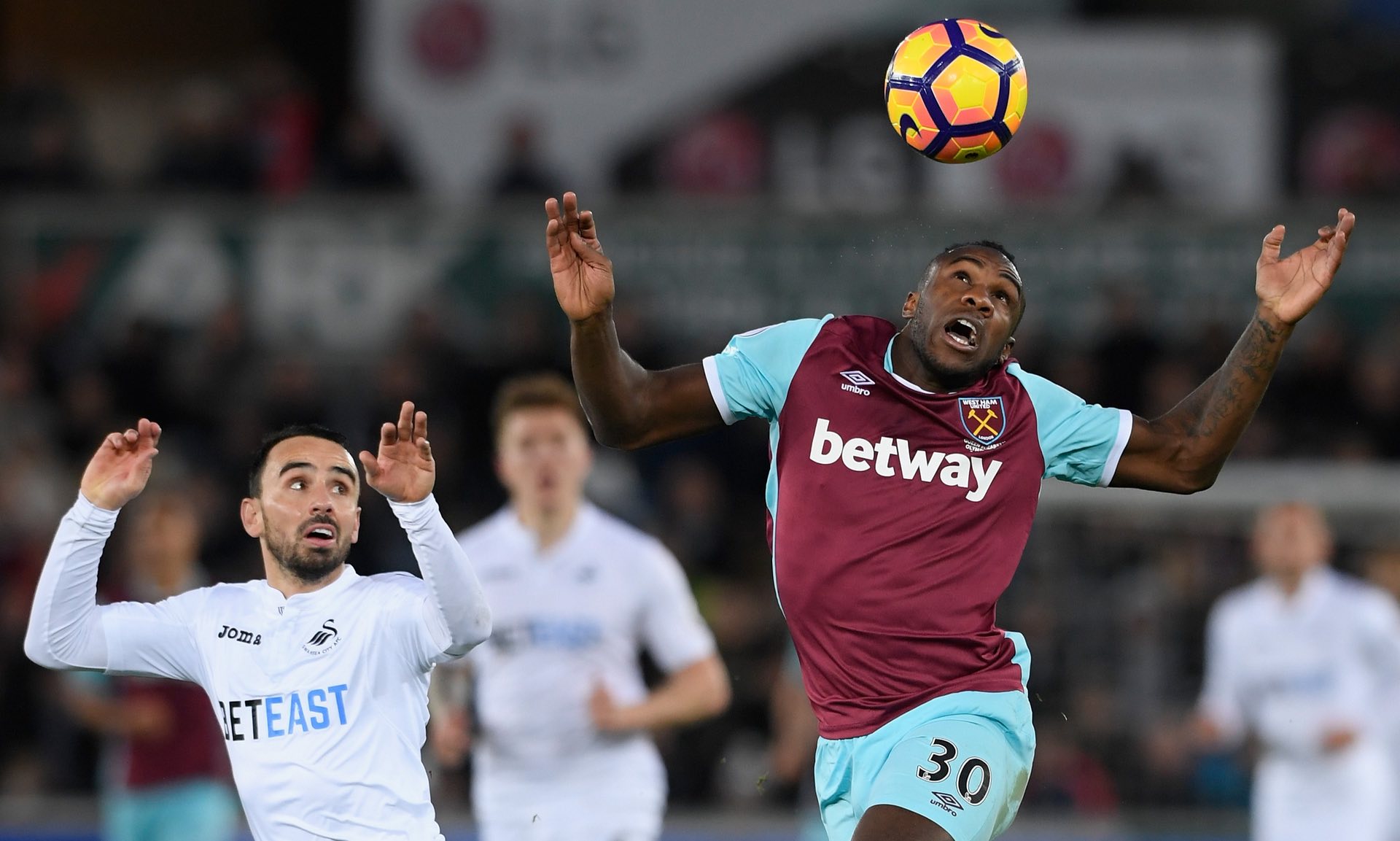 這與博爾赫 這與博爾赫